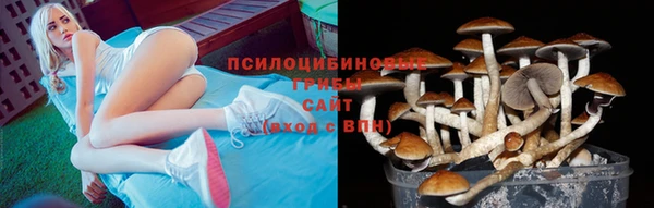 apvp Армянск