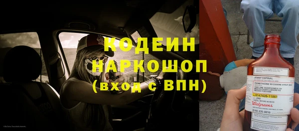 твердый Аркадак