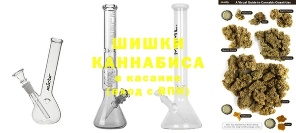твердый Аркадак