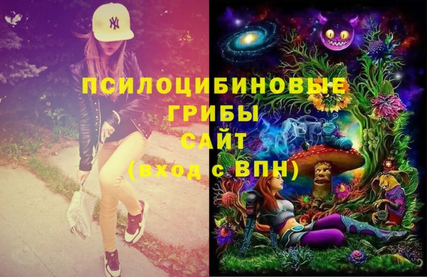 твердый Аркадак