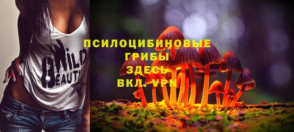 скорость Новокубанск