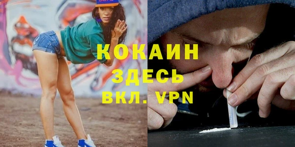 кокс Арсеньев