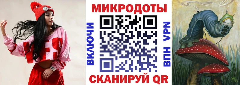 Галлюциногенные грибы прущие грибы  Себеж 
